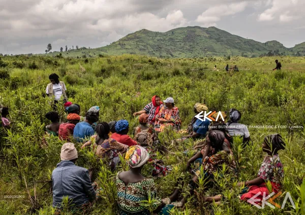 SHAMBA LA AMANI | From Survival To Governance